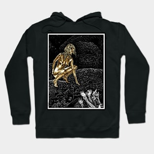 asc 962 - La brillance qui affole (Reaching for the shine) Hoodie